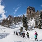 Canadian Winter Rockies Adventure